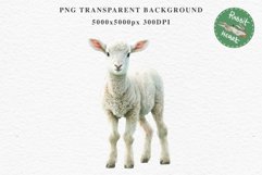 Baby Lamb Farm Animals Clipart PNG Scrapbooking Nursery Art Image Watercolor  Transparent Print invitation shirt designs sublimation kids printable digital