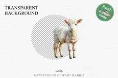 Baby Lamb Farm Animals Clipart PNG Scrapbooking Nursery Art Image Watercolor  Transparent Print invitation shirt designs sublimation kids printable digital