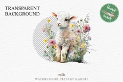 Baby Lamb Farm Animals Clipart PNG Scrapbooking Nursery Art Image Watercolor  Transparent Print invitation shirt designs sublimation kids printable digital