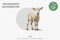 Baby Lamb Farm Animals Clipart PNG Scrapbooking Nursery Art Image Watercolor  Transparent Print invitation shirt designs sublimation kids printable digital