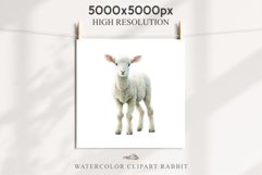 Baby Lamb Farm Animals Clipart PNG Scrapbooking Nursery Art Image Watercolor  Transparent Print invitation shirt designs sublimation kids printable digital