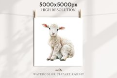 Baby Lamb Farm Animals Clipart PNG Scrapbooking Nursery Art Image Watercolor  Transparent Print invitation shirt designs sublimation kids printable digital