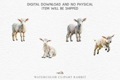 watercolor baby lamb floral, flowers wreath clipart, sublimation nursery drawing, farm animals life Baby Lamb Farm Animals Clipart PNG Scrapbooking Nursery Art Image Watercolor  Transparent Print invitation shirt designs sublimation kids printable digital