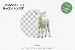Baby Lamb Farm Animals Clipart PNG Scrapbooking Nursery Art Image Watercolor  Transparent Print invitation shirt designs sublimation kids printable digital