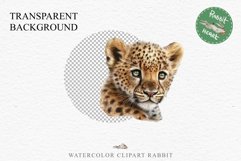 Baby Leopard Safari Animals Clipart African Wild Cats PNG Image Watercolor  Transparent Print invitation t-shirt designs sublimation kids printable digital watercolor Baby Leopard, Safari Animals clipart, sublimation nursery drawing, Savanna baby lions ca