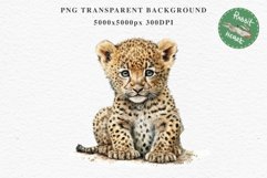 Baby Leopard Safari Animals Clipart African Wild Cats PNG Image Watercolor  Transparent Print invitation t-shirt designs sublimation kids printable digital watercolor Baby Leopard, Safari Animals clipart, sublimation nursery drawing, Savanna baby lions ca