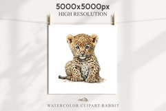 Baby Leopard Safari Animals Clipart African Wild Cats PNG Image Watercolor  Transparent Print invitation t-shirt designs sublimation kids printable digital watercolor Baby Leopard, Safari Animals clipart, sublimation nursery drawing, Savanna baby lions ca