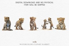 watercolor Baby Leopard, Safari Animals clipart, sublimation nursery drawing, Savanna baby lions Baby Leopard Safari Animals Clipart African Wild Cats PNG Image Watercolor  Transparent Print invitation t-shirt designs sublimation kids printable digital