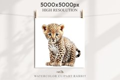 Baby Leopard Safari Animals Clipart African Wild Cats PNG Image Watercolor  Transparent Print invitation t-shirt designs sublimation kids printable digital