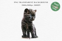 Baby Leopard Safari Animals Clipart African Wild Cats PNG Image Watercolor  Transparent Print invitation t-shirt designs sublimation kids printable digital watercolor Baby Leopard, Safari Animals clipart, sublimation nursery drawing, Savanna baby lions ca