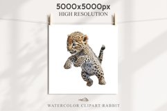 Baby Leopard Safari Animals Clipart African Wild Cats PNG Image Watercolor  Transparent Print invitation t-shirt designs sublimation kids printable digital watercolor Baby Leopard, Safari Animals clipart, sublimation nursery drawing, Savanna baby lions ca