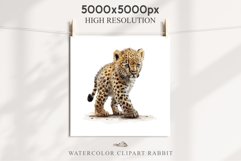 Baby Leopard Safari Animals Clipart African Wild Cats PNG Image Watercolor  Transparent Print invitation t-shirt designs sublimation kids printable digital watercolor Baby Leopard, Safari Animals clipart, sublimation nursery drawing, Savanna baby lions ca