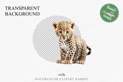 Baby Leopard Safari Animals Clipart African Wild Cats PNG Image Watercolor  Transparent Print invitation t-shirt designs sublimation kids printable digital