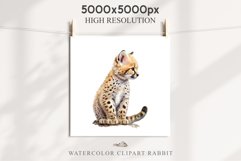 Baby Leopard Safari Animals Clipart African Wild Cats PNG Image Watercolor  Transparent Print invitation t-shirt designs sublimation kids printable digital watercolor Baby Leopard, Safari Animals clipart, sublimation nursery drawing, Savanna baby lions ca
