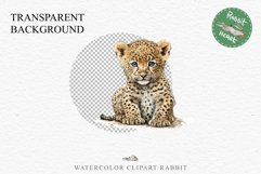 Baby Leopard Safari Animals Clipart African Wild Cats PNG Image Watercolor  Transparent Print invitation t-shirt designs sublimation kids printable digital watercolor Baby Leopard, Safari Animals clipart, sublimation nursery drawing, Savanna baby lions ca