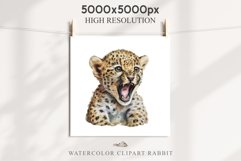 Baby Leopard Safari Animals Clipart African Wild Cats PNG Image Watercolor  Transparent Print invitation t-shirt designs sublimation kids printable digital watercolor Baby Leopard, Safari Animals clipart, sublimation nursery drawing, Savanna baby lions ca