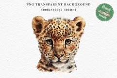 Baby Leopard Safari Animals Clipart African Wild Cats PNG Image Watercolor  Transparent Print invitation t-shirt designs sublimation kids printable digital watercolor Baby Leopard, Safari Animals clipart, sublimation nursery drawing, Savanna baby lions ca