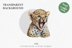 Baby Leopard Safari Animals Clipart African Wild Cats PNG Image Watercolor  Transparent Print invitation t-shirt designs sublimation kids printable digital watercolor Baby Leopard, Safari Animals clipart, sublimation nursery drawing, Savanna baby lions ca