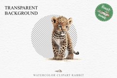 Baby Leopard Safari Animals Clipart African Wild Cats PNG Image Watercolor  Transparent Print invitation t-shirt designs sublimation kids printable digital watercolor Baby Leopard, Safari Animals clipart, sublimation nursery drawing, Savanna baby lions ca
