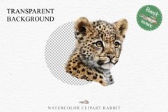 Baby Leopard Safari Animals Clipart African Wild Cats PNG Image Watercolor  Transparent Print invitation t-shirt designs sublimation kids printable digital watercolor Baby Leopard, Safari Animals clipart, sublimation nursery drawing, Savanna baby lions ca