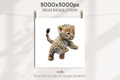 Baby Leopard Safari Animals Clipart African Wild Cats PNG Image Watercolor  Transparent Print invitation t-shirt designs sublimation kids printable digital watercolor Baby Leopard, Safari Animals clipart, sublimation nursery drawing, Savanna baby lions ca