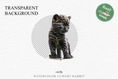 Baby Leopard Safari Animals Clipart African Wild Cats PNG Image Watercolor  Transparent Print invitation t-shirt designs sublimation kids printable digital watercolor Baby Leopard, Safari Animals clipart, sublimation nursery drawing, Savanna baby lions ca