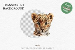 Baby Leopard Safari Animals Clipart African Wild Cats PNG Image Watercolor  Transparent Print invitation t-shirt designs sublimation kids printable digital