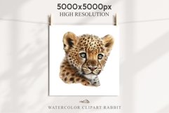 Baby Leopard Safari Animals Clipart African Wild Cats PNG Image Watercolor  Transparent Print invitation t-shirt designs sublimation kids printable digital watercolor Baby Leopard, Safari Animals clipart, sublimation nursery drawing, Savanna baby lions ca