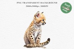 Baby Leopard Safari Animals Clipart African Wild Cats PNG Image Watercolor  Transparent Print invitation t-shirt designs sublimation kids printable digital watercolor Baby Leopard, Safari Animals clipart, sublimation nursery drawing, Savanna baby lions ca