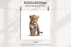 Baby Leopard Safari Animals Clipart African Wild Cats PNG Image Watercolor  Transparent Print invitation t-shirt designs sublimation kids printable digital watercolor Baby Leopard, Safari Animals clipart, sublimation nursery drawing, Savanna baby lions ca