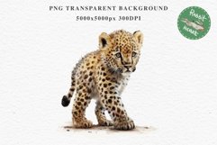 Baby Leopard Safari Animals Clipart African Wild Cats PNG Image Watercolor  Transparent Print invitation t-shirt designs sublimation kids printable digital watercolor Baby Leopard, Safari Animals clipart, sublimation nursery drawing, Savanna baby lions ca