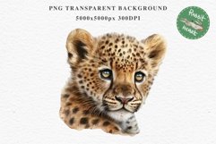 Baby Leopard Safari Animals Clipart African Wild Cats PNG Image Watercolor  Transparent Print invitation t-shirt designs sublimation kids printable digital watercolor Baby Leopard, Safari Animals clipart, sublimation nursery drawing, Savanna baby lions ca