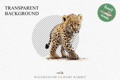Baby Leopard Safari Animals Clipart African Wild Cats PNG Image Watercolor  Transparent Print invitation t-shirt designs sublimation kids printable digital watercolor Baby Leopard, Safari Animals clipart, sublimation nursery drawing, Savanna baby lions ca