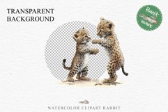 Baby Leopard Safari Animals Clipart African Wild Cats PNG Image Watercolor  Transparent Print invitation t-shirt designs sublimation kids printable digital watercolor Baby Leopard, Safari Animals clipart, sublimation nursery drawing, Savanna baby lions ca