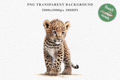 Baby Leopard Safari Animals Clipart African Wild Cats PNG Image Watercolor  Transparent Print invitation t-shirt designs sublimation kids printable digital watercolor Baby Leopard, Safari Animals clipart, sublimation nursery drawing, Savanna baby lions ca
