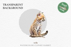 Baby Leopard Safari Animals Clipart African Wild Cats PNG Image Watercolor  Transparent Print invitation t-shirt designs sublimation kids printable digital watercolor Baby Leopard, Safari Animals clipart, sublimation nursery drawing, Savanna baby lions ca
