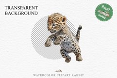 Baby Leopard Safari Animals Clipart African Wild Cats PNG Image Watercolor  Transparent Print invitation t-shirt designs sublimation kids printable digital watercolor Baby Leopard, Safari Animals clipart, sublimation nursery drawing, Savanna baby lions ca