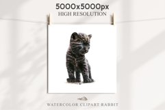 Baby Leopard Safari Animals Clipart African Wild Cats PNG Image Watercolor  Transparent Print invitation t-shirt designs sublimation kids printable digital watercolor Baby Leopard, Safari Animals clipart, sublimation nursery drawing, Savanna baby lions ca