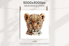 Baby Leopard Safari Animals Clipart African Wild Cats PNG Image Watercolor  Transparent Print invitation t-shirt designs sublimation kids printable digital watercolor Baby Leopard, Safari Animals clipart, sublimation nursery drawing, Savanna baby lions ca