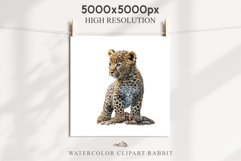 Baby Leopard Safari Animals Clipart African Wild Cats PNG Image Watercolor  Transparent Print invitation t-shirt designs sublimation kids printable digital watercolor Baby Leopard, Safari Animals clipart, sublimation nursery drawing, Savanna baby lions ca