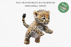 Baby Leopard Safari Animals Clipart African Wild Cats PNG Image Watercolor  Transparent Print invitation t-shirt designs sublimation kids printable digital watercolor Baby Leopard, Safari Animals clipart, sublimation nursery drawing, Savanna baby lions ca