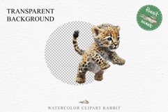 Baby Leopard Safari Animals Clipart African Wild Cats PNG Image Watercolor  Transparent Print invitation t-shirt designs sublimation kids printable digital watercolor Baby Leopard, Safari Animals clipart, sublimation nursery drawing, Savanna baby lions ca