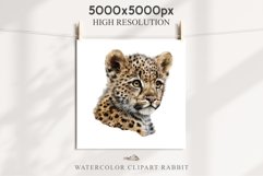 Baby Leopard Safari Animals Clipart African Wild Cats PNG Image Watercolor  Transparent Print invitation t-shirt designs sublimation kids printable digital watercolor Baby Leopard, Safari Animals clipart, sublimation nursery drawing, Savanna baby lions ca