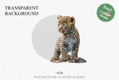 Baby Leopard Safari Animals Clipart African Wild Cats PNG Image Watercolor  Transparent Print invitation t-shirt designs sublimation kids printable digital watercolor Baby Leopard, Safari Animals clipart, sublimation nursery drawing, Savanna baby lions ca