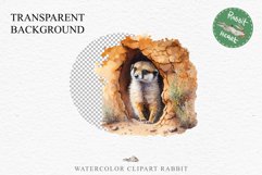 Baby Meerkat Safari Animals Clipart Savanna PNG Nursery Art Image Watercolor  Transparent Print invitation t-shirt designs sublimation kids printable digital watercolor cute African Baby Meerkat, Safari Animals clipart, sublimation nursery drawing Savanna