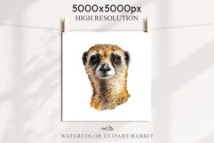 Baby Meerkat Safari Animals Clipart Savanna PNG Nursery Art Image Watercolor  Transparent Print invitation t-shirt designs sublimation kids printable digital watercolor cute African Baby Meerkat, Safari Animals clipart, sublimation nursery drawing Savanna