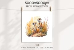 Baby Meerkat Safari Animals Clipart Savanna PNG Nursery Art Image Watercolor  Transparent Print invitation t-shirt designs sublimation kids printable digital watercolor cute African Baby Meerkat, Safari Animals clipart, sublimation nursery drawing Savanna