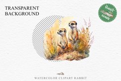 Baby Meerkat Safari Animals Clipart Savanna PNG Nursery Art Image Watercolor  Transparent Print invitation t-shirt designs sublimation kids printable digital watercolor cute African Baby Meerkat, Safari Animals clipart, sublimation nursery drawing Savanna