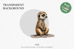 Baby Meerkat Safari Animals Clipart Savanna PNG Nursery Art Image Watercolor  Transparent Print invitation t-shirt designs sublimation kids printable digital watercolor cute African Baby Meerkat, Safari Animals clipart, sublimation nursery drawing Savanna