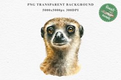 Baby Meerkat Safari Animals Clipart Savanna PNG Nursery Art Image Watercolor  Transparent Print invitation t-shirt designs sublimation kids printable digital watercolor cute African Baby Meerkat, Safari Animals clipart, sublimation nursery drawing Savanna
